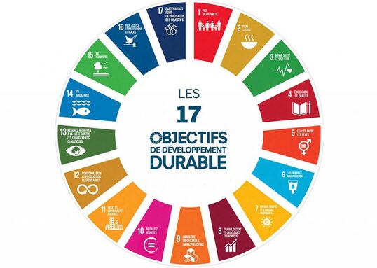 Objectifs-développement-durable-1024x729.jpg