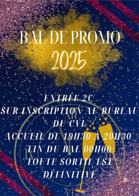 Affiche Bal_page-0001.jpg
