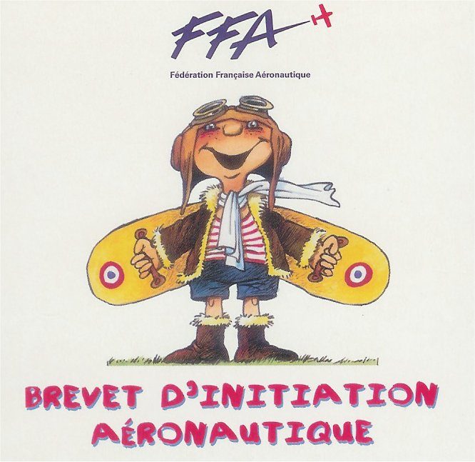 Informations sur le Brevet d'Initiation à l'Aéronautique - Actualités